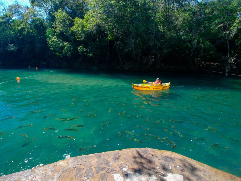 jardim eco park rio